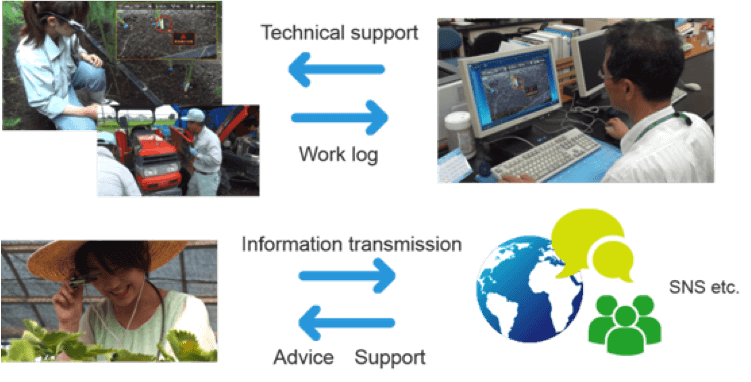 農業ITにおける活用例　画像