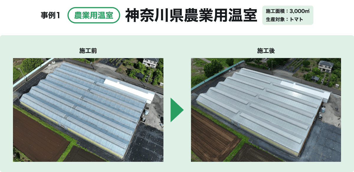 Case Study 1: Photo of an agricultural greenhouse (tomatoes) in Kanagawa Prefecture.