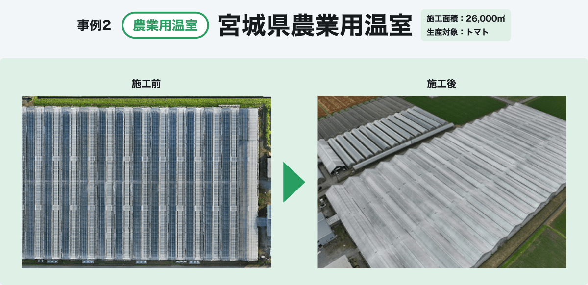 Case Study 2: Photo of an agricultural greenhouse (tomatoes) in Miyagi Prefecture.
